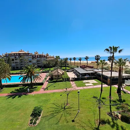 Alcaudon, - By Ac Real *